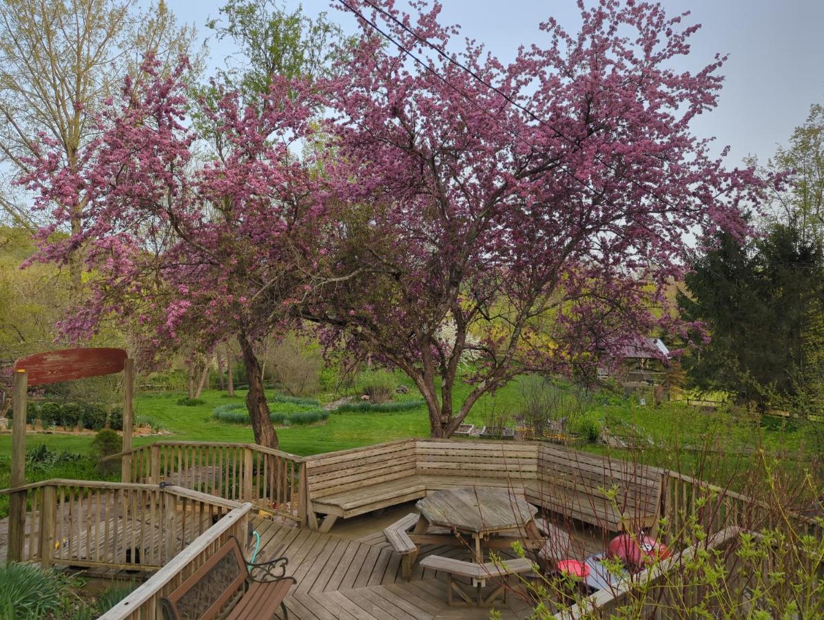 Wildflower Cottage Oxford ภายนอก รูปภาพ