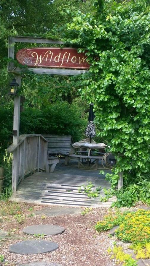 Wildflower Cottage Oxford ภายนอก รูปภาพ